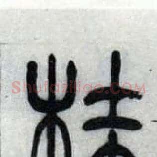 桂