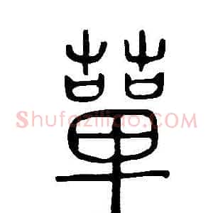 蕇