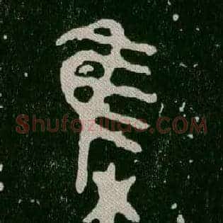 集