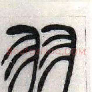 羽