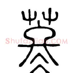 苳