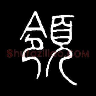 领