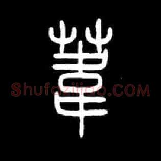 葦