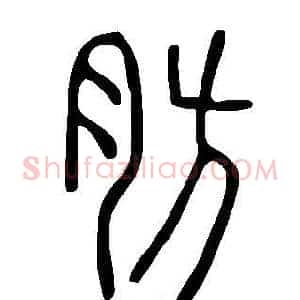 肪