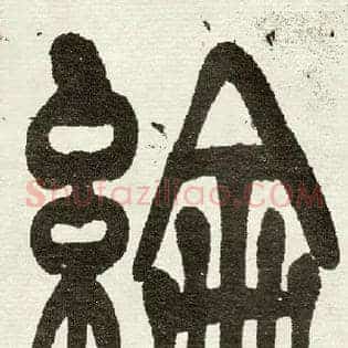 纶