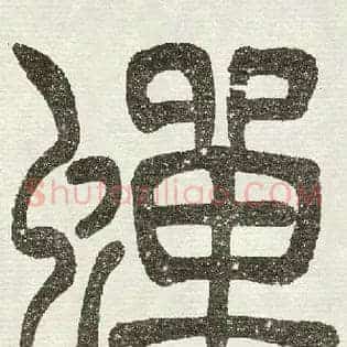 蝉