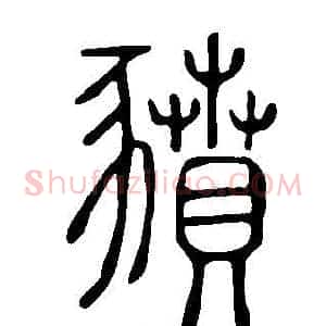 豶