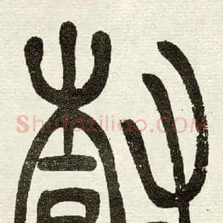 樹