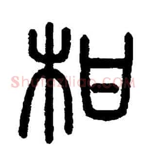 柑