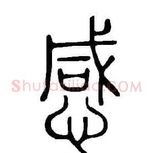 感