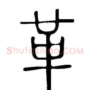 革