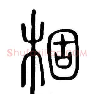 棝