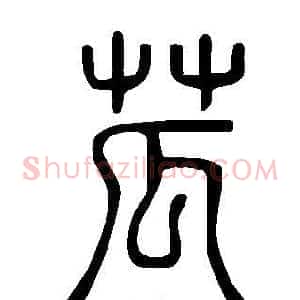 苽