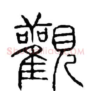 观