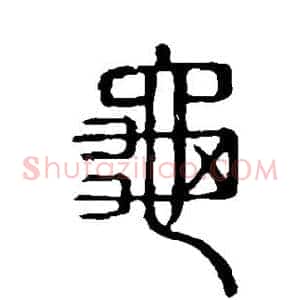 龟