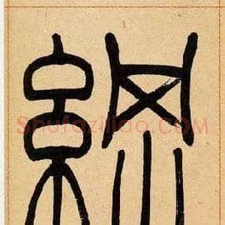 綱