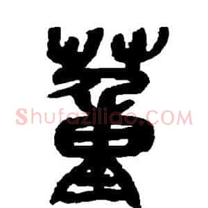 董