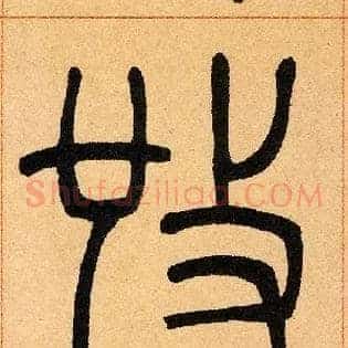 施