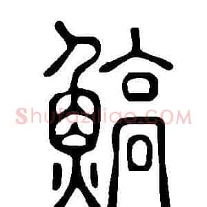鰝