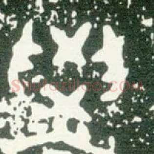學