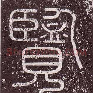 覽