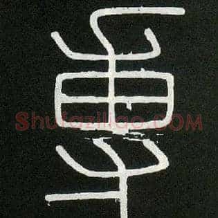 专