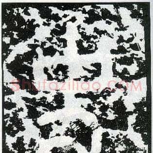 史