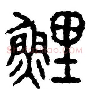 鲤