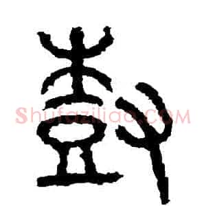 樹