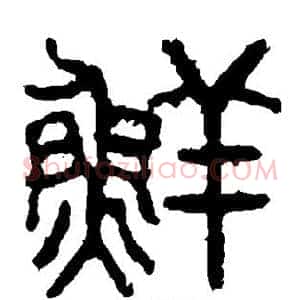 鲜