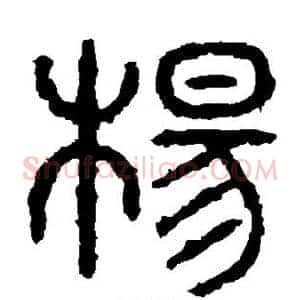 杨