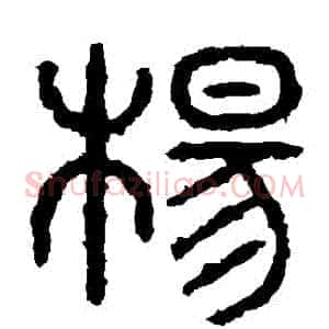 楊