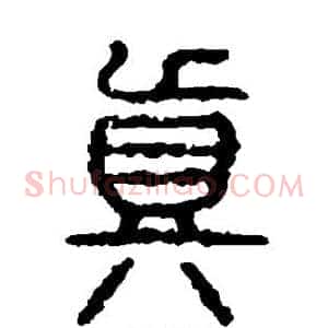 真