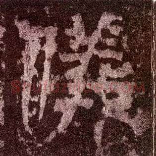 儀