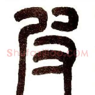 皮