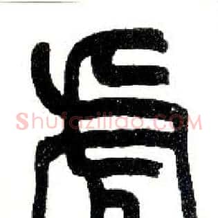 虎