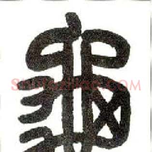 龟