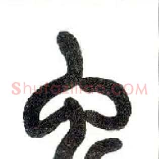 虫
