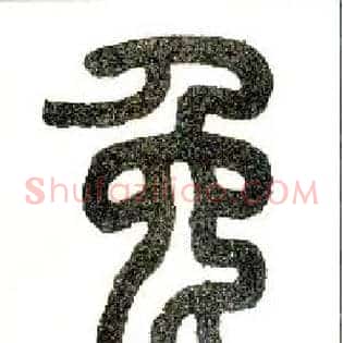 兔