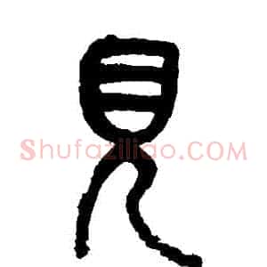 見