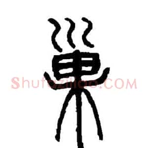 巢