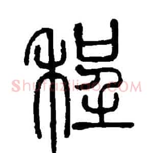 程