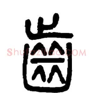 齿