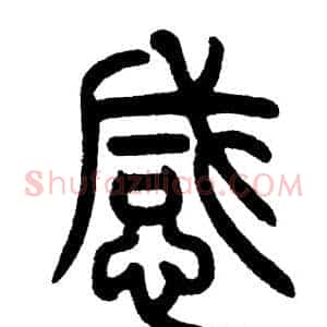 感
