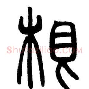根