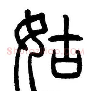 姑