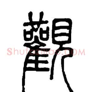 观