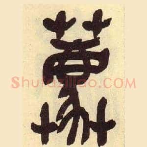 蔍