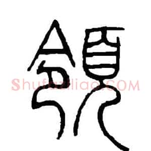 领