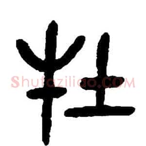 牡